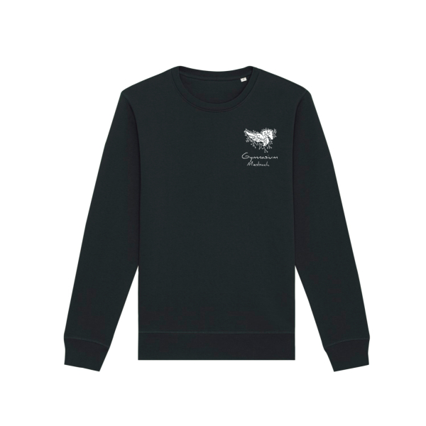GYMB Pegabyte Basic Logo | Bio Pulli unisex